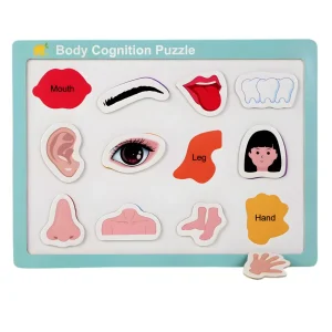 Tablero de Encaje Magnético Cuerpo Humano