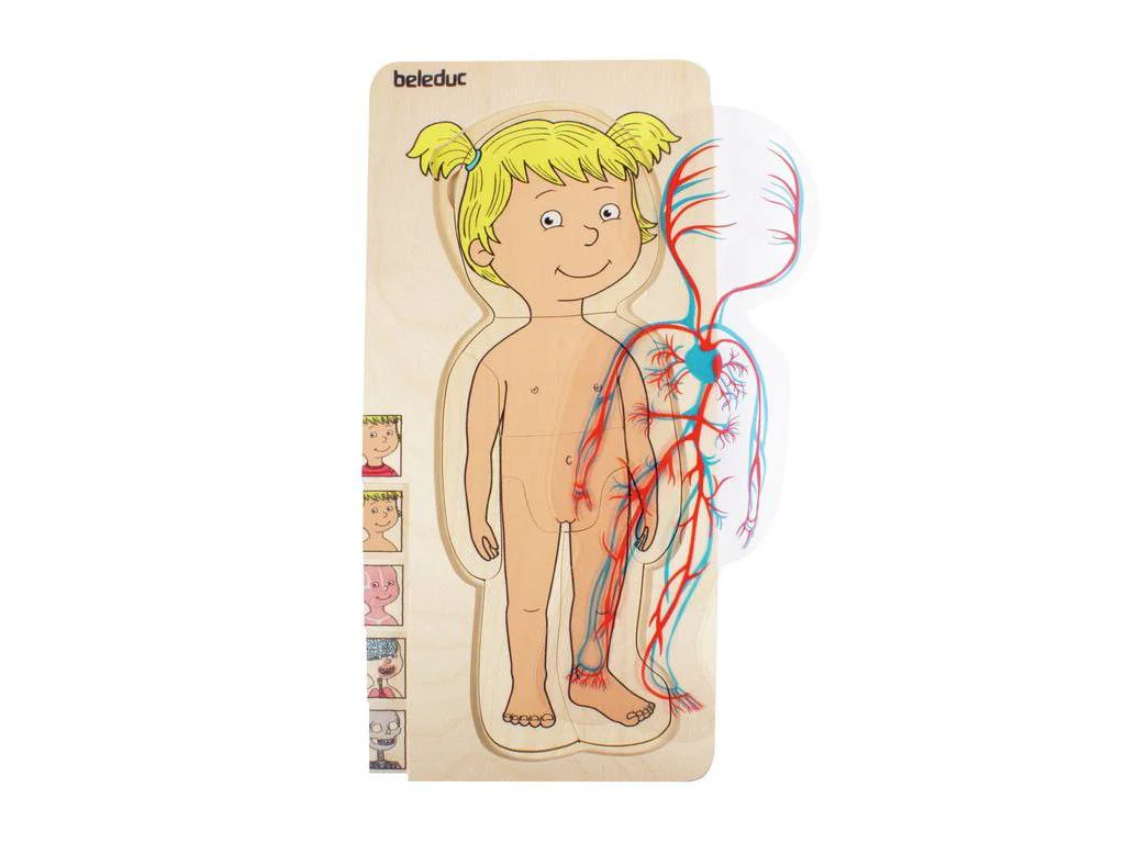 Puzzle 5 en 1 Anatomía Femenina- Beleduc